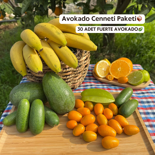 Avokado%20Cenneti%20Paketi%20