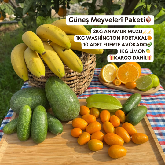 Güneş%20Meyveleri%20Paketi