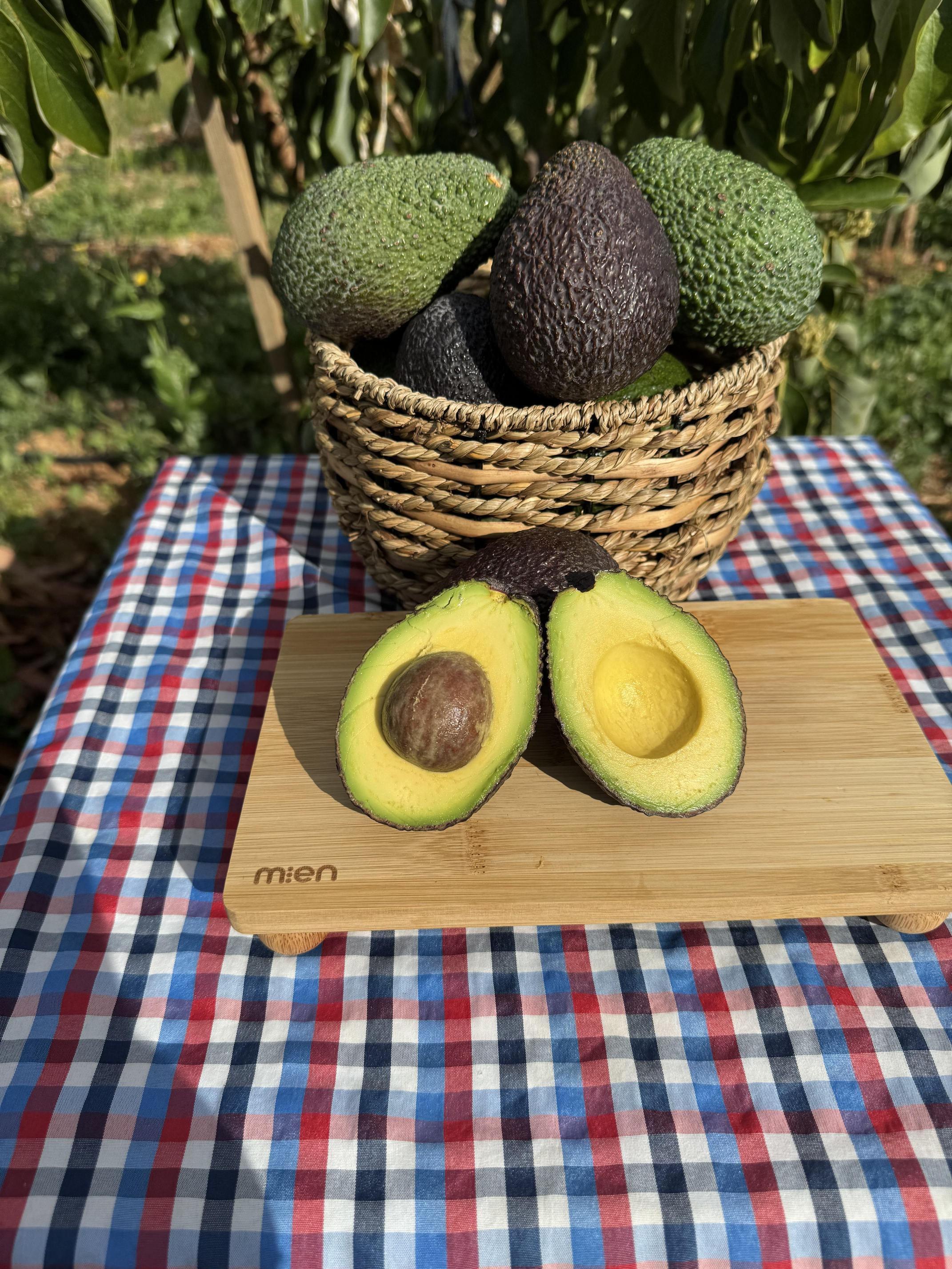 Hass%20Avokado%20-%20Doğallığın%20ve%20Lezzetin%20Saf%20Hali%20(KG)%20(200Gr%20Altı)