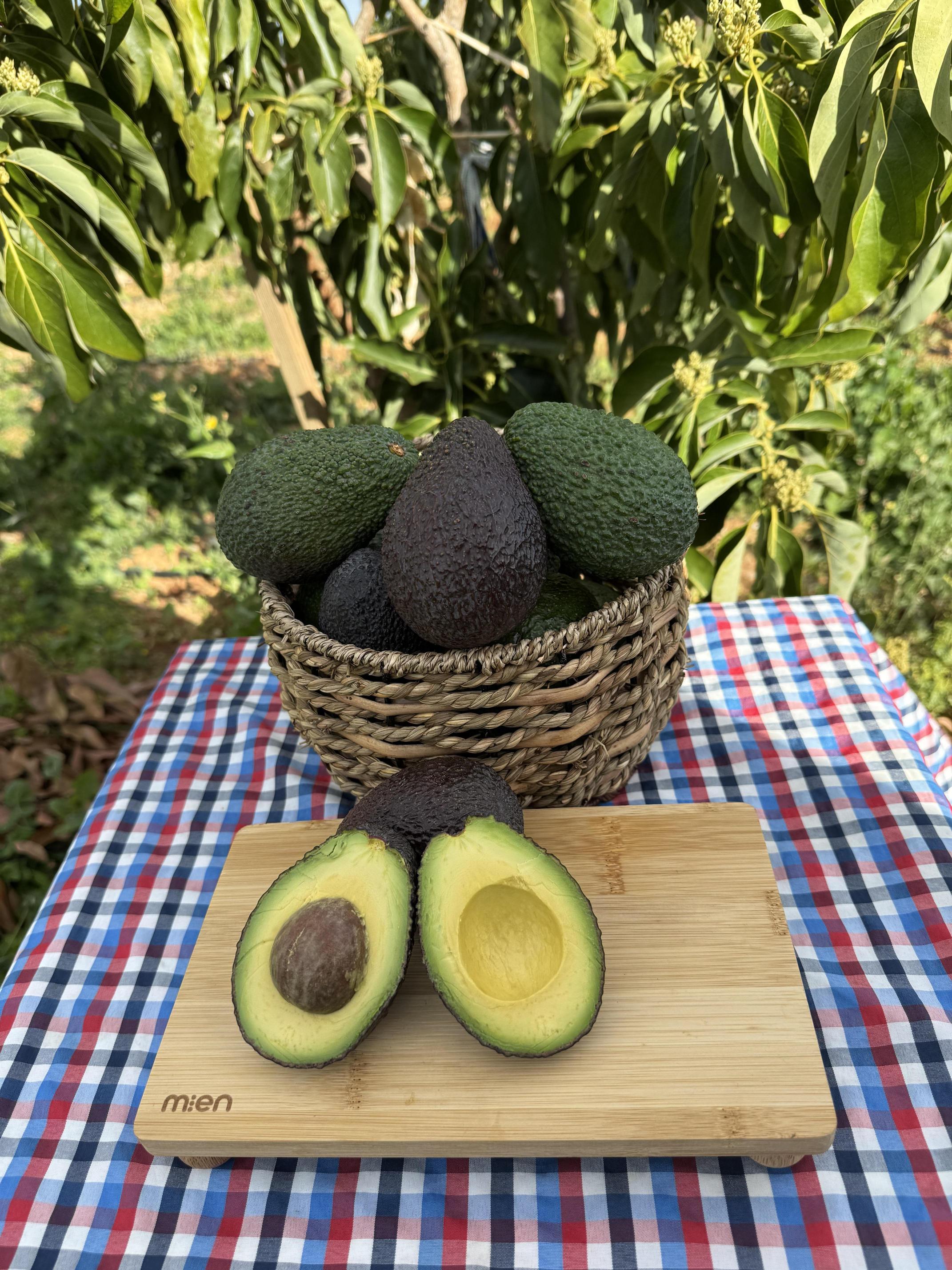 Hass%20Avokado%20-%20Doğallığın%20ve%20Lezzetin%20Saf%20Hali%20(KG)%20(200Gr%20Altı)