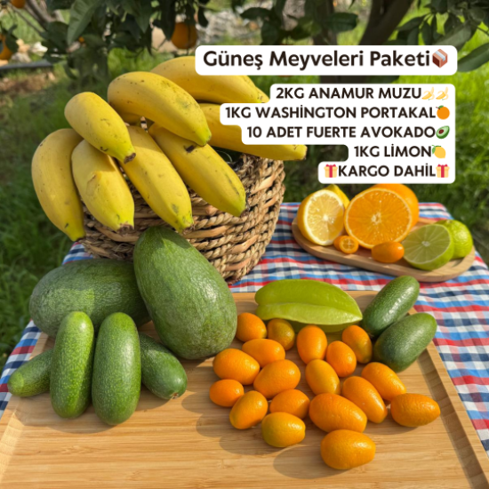 Güneş Meyveleri Paketi 